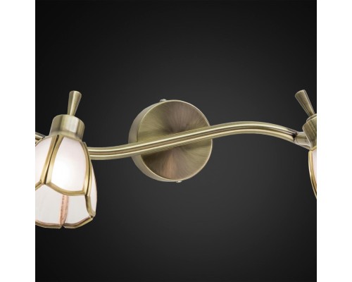 Спот Citilux альтен 522521