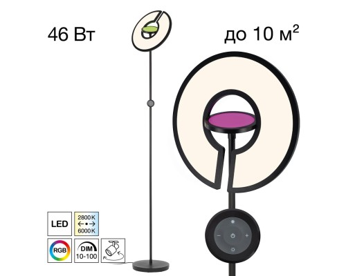 CL810031 LOONG RGB Черный Торшер