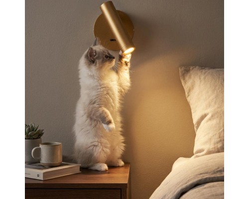 CL704102 DEKART Золото Св-к Настенный