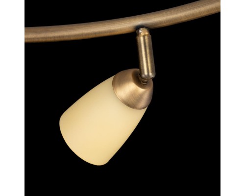 Потолочная люстра Citilux CL501163 белла