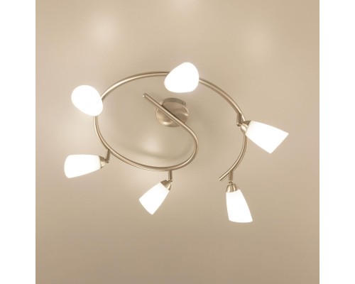 Потолочная люстра Citilux CL501161 белла