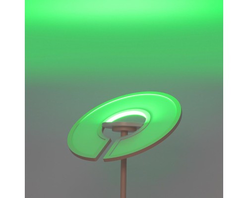 CL810030 LOONG RGB Белый Торшер