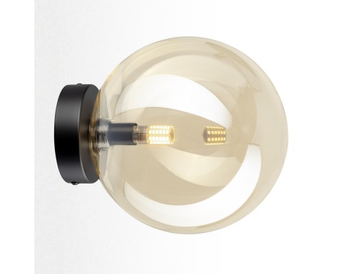 CL202512 ORTON Шампань Св-к Наст.-Потол