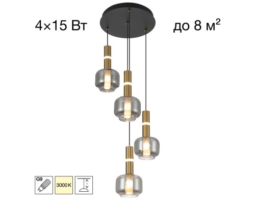 CL249021 LASS Подвес