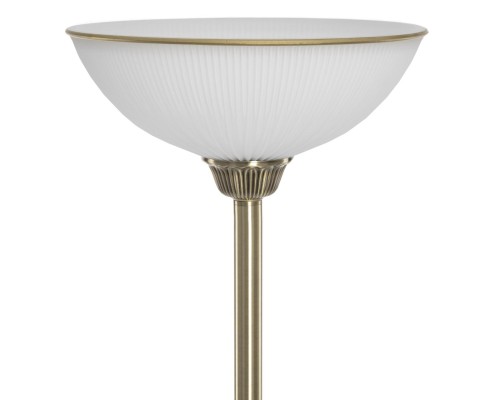 CL405913 Адриана Торшер