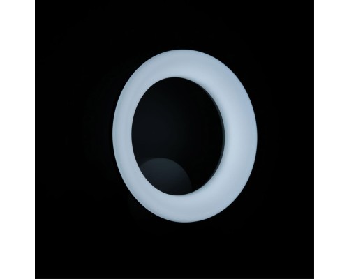 CL225B310 Паркер Белый Св-к Бра