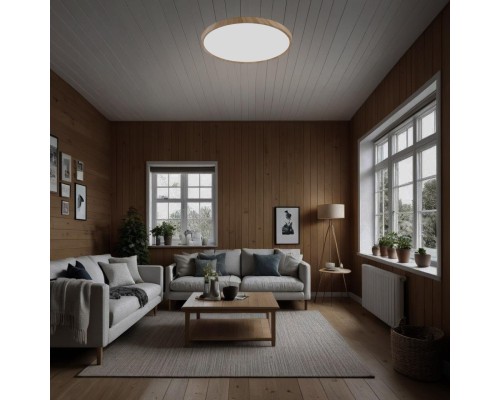 CL738242V Бейсик Клен Св-к Накл. LED 24W*Мульти