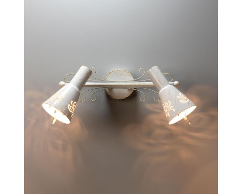 Спот Citilux CL529522 Дункан Светлый