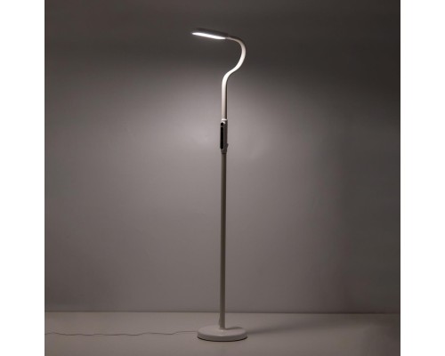 CL804020 Марк Белый Св-к Торшер