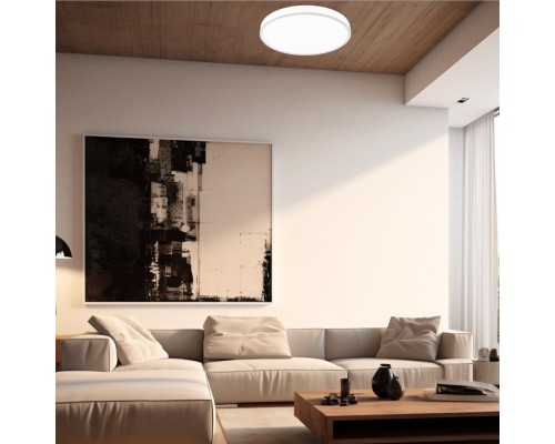 CL72424V0 Купер Белый Св-к Потолочный