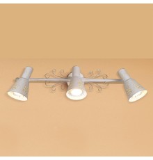 Спот Citilux CL529532 Дункан Светлый