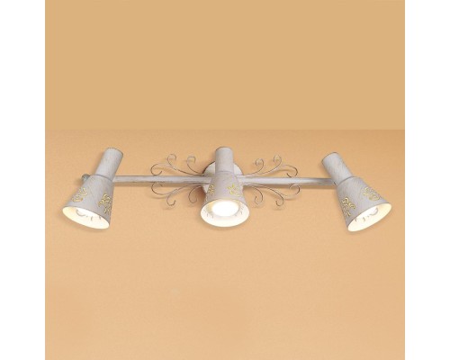 Спот Citilux CL529532 Дункан Светлый