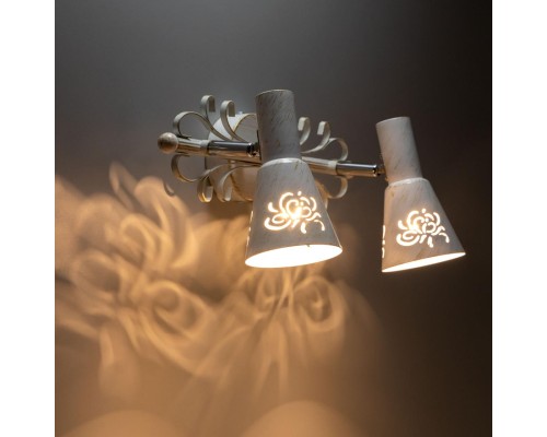 Спот Citilux CL529522 Дункан Светлый