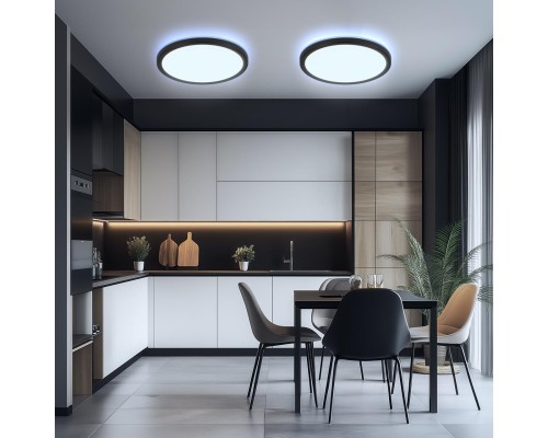 CL738241EL Бейсик Лайн Черный Св-к с пультом LED+RGB 30W