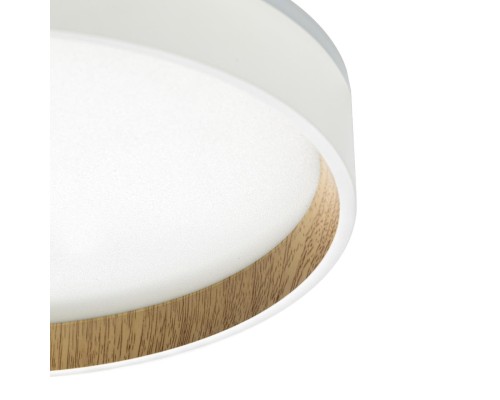 CL750240 ETALON Белый+Бук с подсветкой