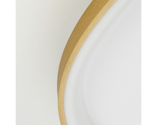 CL756A162 GENKA Золото Смарт Люстра