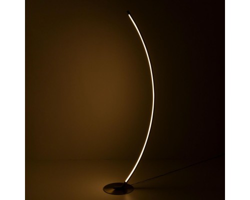 CL804031 Руди Хром Мат. Св-к Торшер