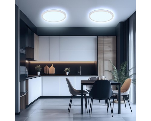 CL738240EL Бейсик Лайн Белый Св-к с пультом LED+RGB 30W