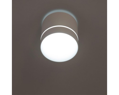 CL745020N Борн Белый Св-к Потол. 12W*4000K