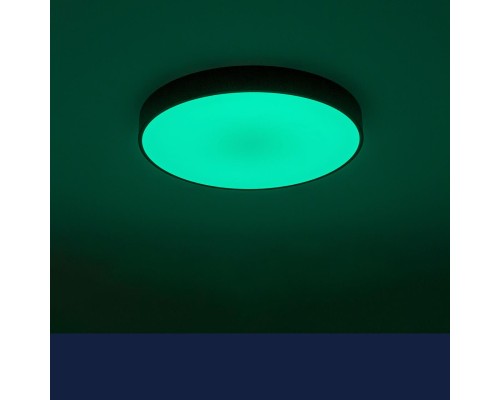 CL72470G1 Купер Черный Св-к Потол. с RGB