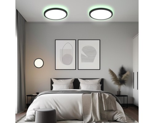 CL738241EL Бейсик Лайн Черный Св-к с пультом LED+RGB 30W