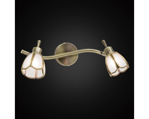 Спот Citilux альтен 522521