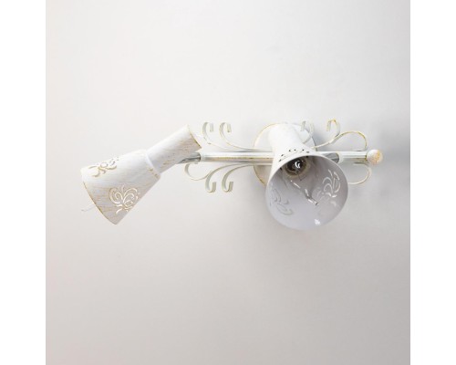 Спот Citilux CL529522 Дункан Светлый