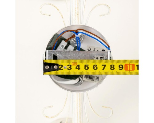 Спот Citilux CL529522 Дункан Светлый