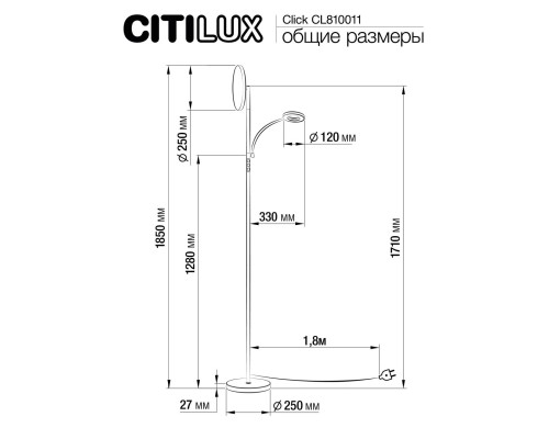 CL810011 Click Черный торшер с пультом