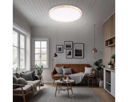 CL738322V Бейсик Клен Св-к Накл. LED 32W*Мульти