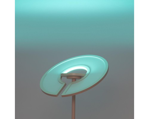 CL810030 LOONG RGB Белый Торшер