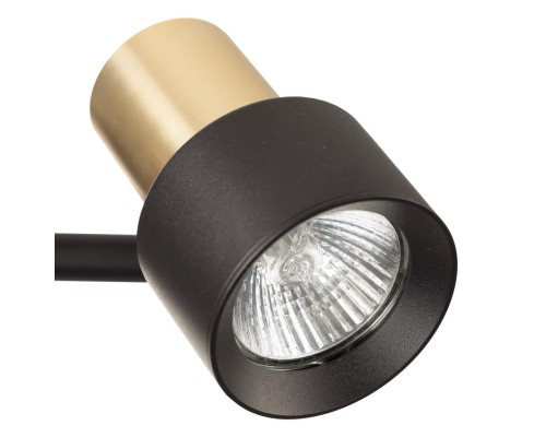 CL505621 SAT Черный+Зол. Св-к Наст.-Потол.