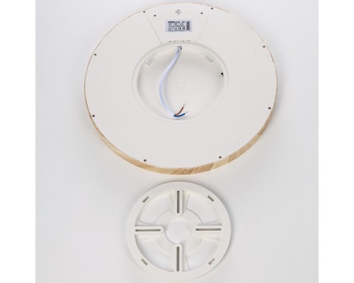 CL738242V Бейсик Клен Св-к Накл. LED 24W*Мульти