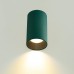 CL512115 AXEL Зеленый Св-к Потолочный