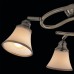 Потолочная люстра Citilux CL511143 Прованс
