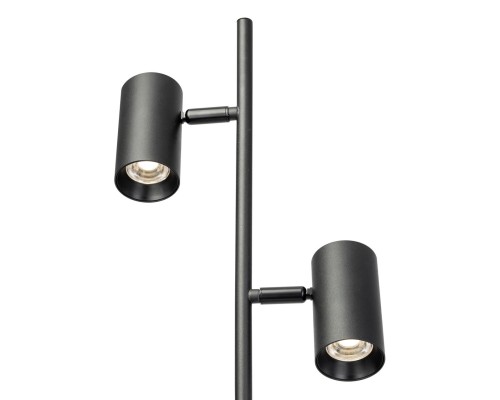 CL809011N Twin Черный Торшер