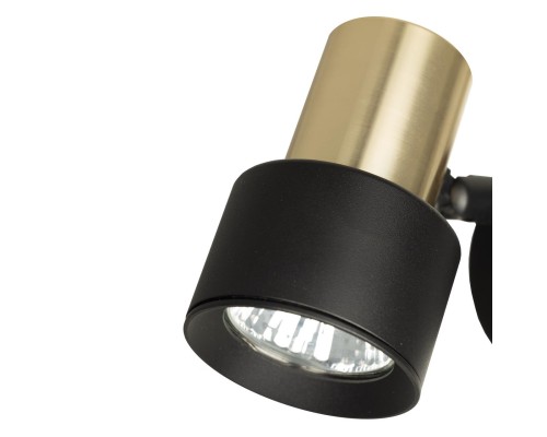 CL505611 SAT Черный+Зол. Св-к Наст.-Потол.