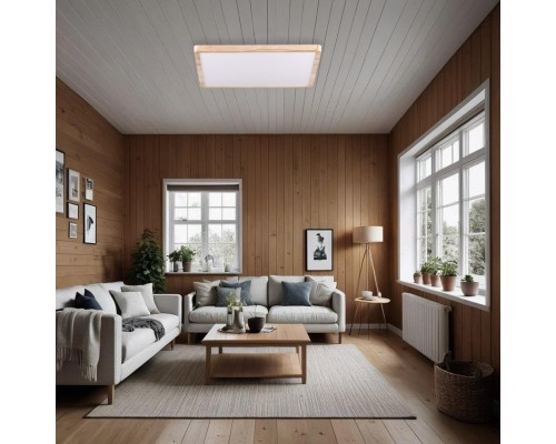 CL738K502V Бейсик Клен Св-к Накл. LED 50W*Мульти