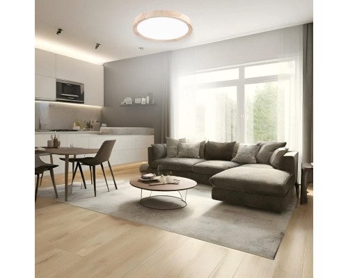 CL738122N Бейсик Клен Св-к Накл. LED 12W*4000K