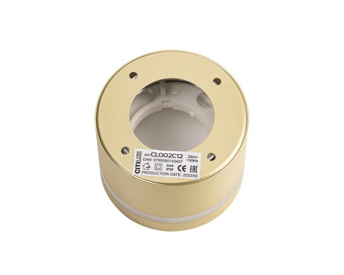 CL002C12 Hardy Золото Св-к Потолочный