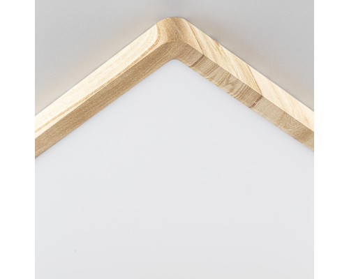 CL738K502V Бейсик Клен Св-к Накл. LED 50W*Мульти