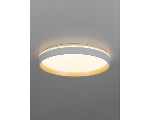 CL753450G ENZO Белый+Золото LED Св-к с пультом