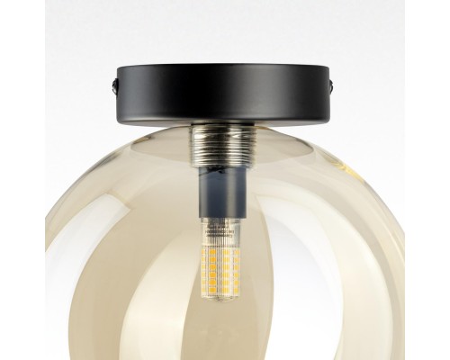 CL202512 ORTON Шампань Св-к Наст.-Потол