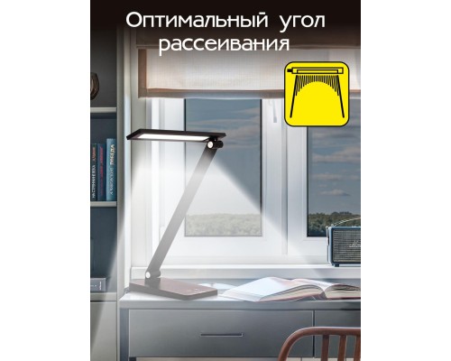 CL803081 Ньютон Черный, с USB