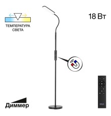 CL804051 Alex Черный торшер с пультом