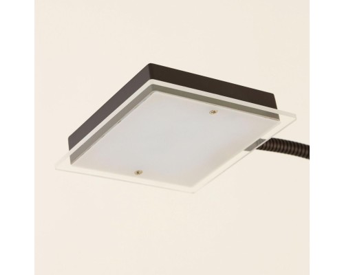 CL802015 Харди Кофе. Св-к Торшер