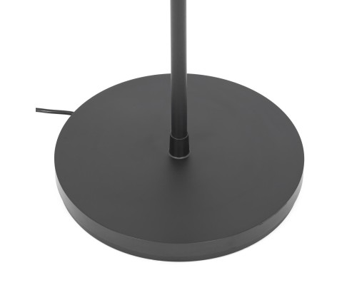 CL810031 LOONG RGB Черный Торшер