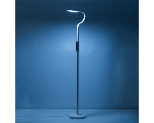 CL804020 Марк Белый Св-к Торшер