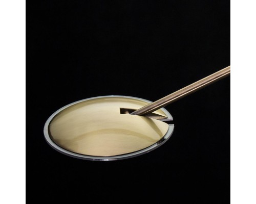 Торшер светодиодный с лампой для чтения Citilux CL802003 Дискус