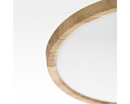 CL738242V Бейсик Клен Св-к Накл. LED 24W*Мульти